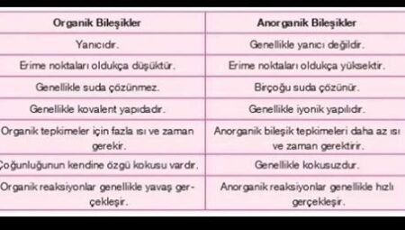 Organik ve Geleneksel Besinler Arasındaki Farklar Nelerdir?